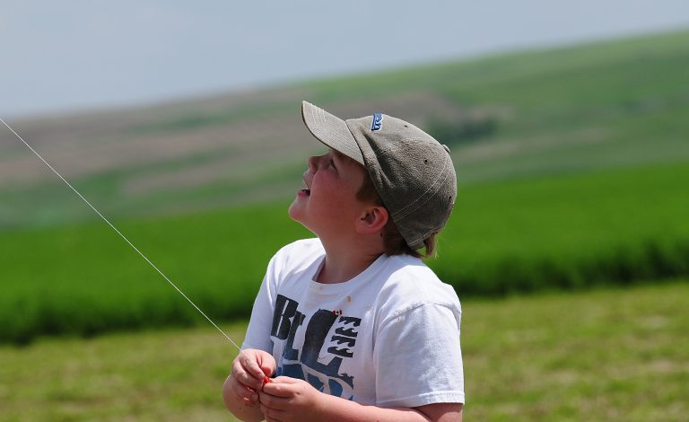 6904030345 226515fddf o