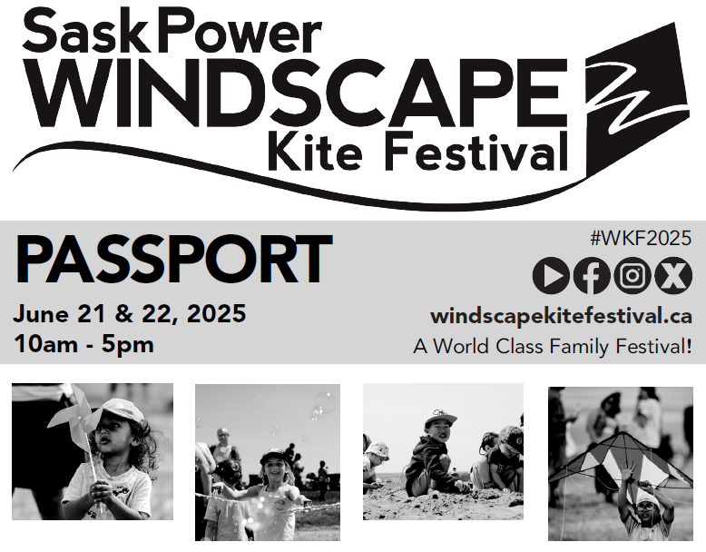 GRAPHIC passport cover